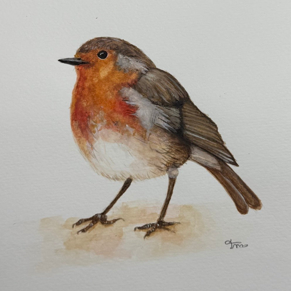 Robin Card