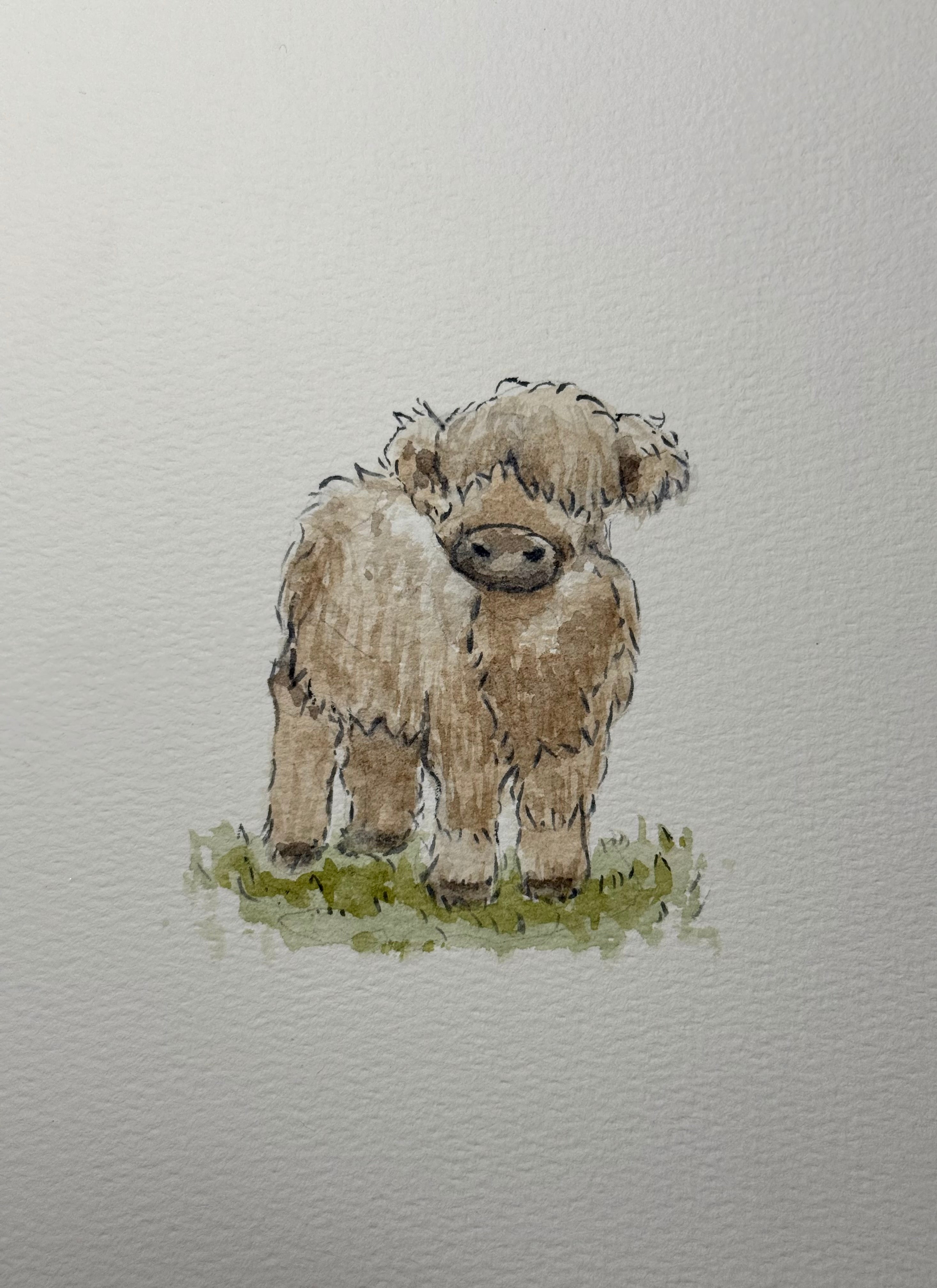 Highland - A4 Prints